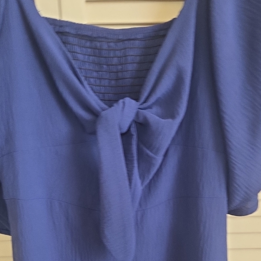 Elegant Blue Dress with Bow Detail - Picture 3 of 7